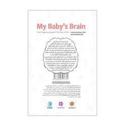 مغز کودک من از بارداری تا یک سالگی