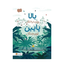 بالا روی درختان پایین توی جنگل